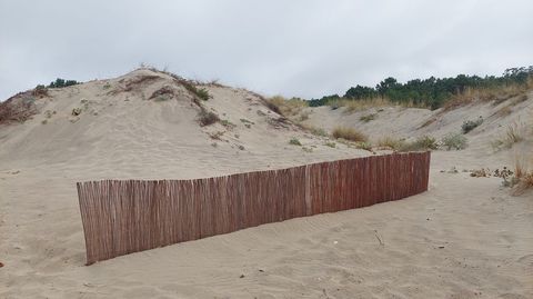 Barrera colocada por Costas en la playa de Major para evitar la erosi�n de la duna