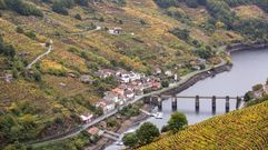 Vista del pueblo de Belesar, con el paisaje oto�al de los vi�edos