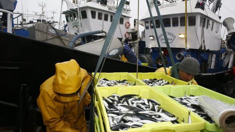 Pesqueros descargando en Burela (foto de archivo)