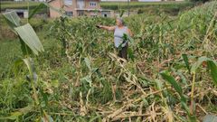 Una vecina muestra los destrozos que causaron los animales en una plantacin en Mazaricos.