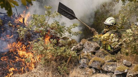 Un bombero forestal sofocando las llamas con un batefuegos en O�mbra, el 14 de agosto.