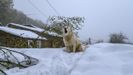 Nieve en la aldea de A Veneira de Roques, en A Pobra do Brolln