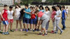 Los peque�os investigadores hacen de la playa de Moa�a su laboratorio