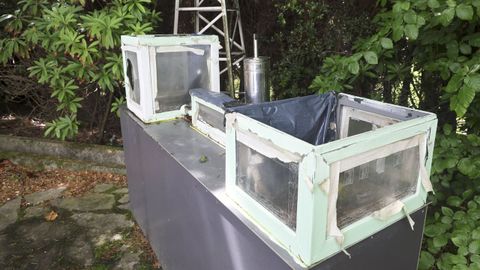 En la imagen, uno de los ingenios del parque; la mayor�a tendr�n que ser renovados