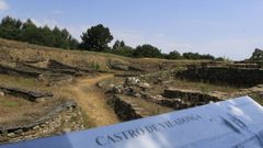 En el castro se excava desde hace m�s de 50 a�os, pero se trabaja en una zona reducida 