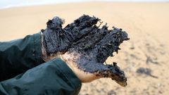 Chapapote arrastrado por la marea a la playa de Queiruga, en Porto do Son, el lunes.