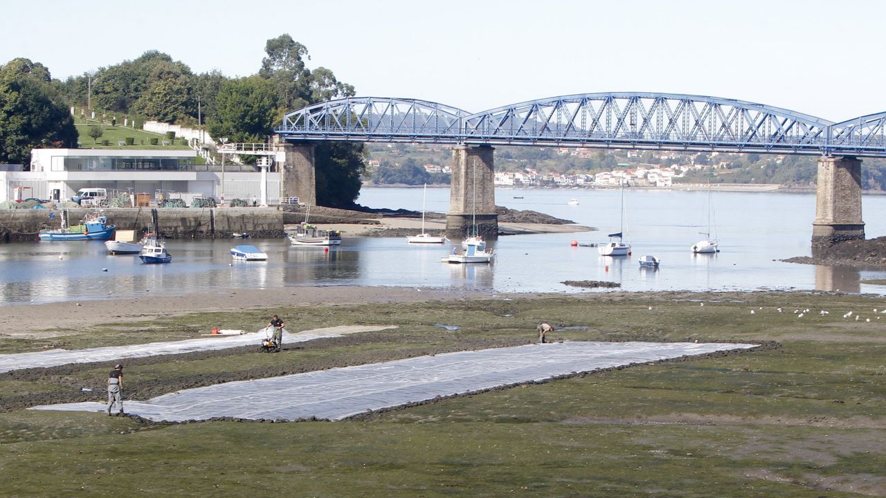 La Xunta intensifica el muestreo técnico en el banco marisquero de Pontedeume para evaluar los daños