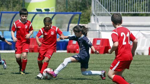 Os roles sexuais son culturais e apr�ndense co tempo