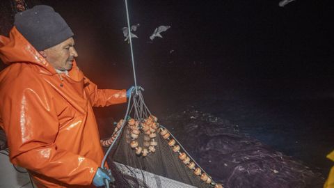 Un tripulante de un cerquero gallego pescando sardina el pasado verano