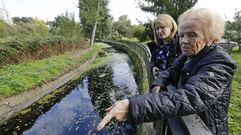 �La culebra salt� medio metro fuera del agua para pillar un lagarto grande�