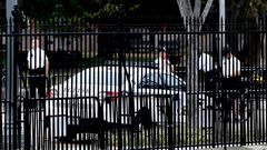 Vigilancia en la Casa Blanca