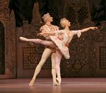 As Cancelas ofrece actuaciones de la Opera House. 