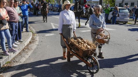 Festa da Pataca de Vilar de Barrio 2024.