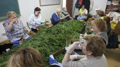 Varias mujeres cortando verde esta semana en uno de los locales de Ares.
