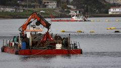 Dragado en la ra coruesa de O Burgo a principios del 2024