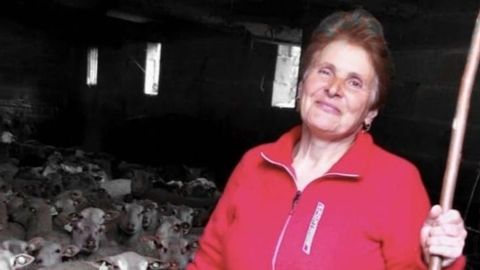 Elvira Prez Vilanova tiene una explotacin con 190 ovejas en A Bola.