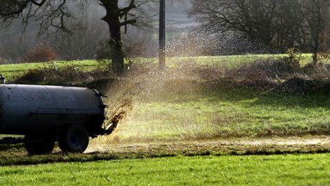 Actividad de una cisterna esparciendo pur�n en una finca de Carballedo, en una imagen de archivo