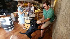 La Bastarda (Vigo): N�stor Vera y Anabel Garc�a-Barroso comprobaron lo dif�cil que les resultaba, en Madrid, llevar planes de ocio con su perro. Cuando llegaron a Vigo, abrieron La Bastarda, una taberna pet friendly perfecta para ir con tu mascota a tomar unos vinos y de picoteo