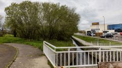 Zona extrema del entorno de las fincas junto al Rego da Balsa que se expropiar�n para su renaturalizaci�n