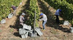 El fin de la vendimia hizo subir el paro en el sector primario