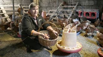 Sinda Tosar posa con sus gallinas, que llevan un mes encerradas&nbsp;para evitar los contagios por gripe aviar