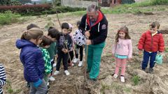 La plantaci�n de casta�os tuvo lugar en terrenos pr�ximos a la escuela de Figueirido, en Vilaboa