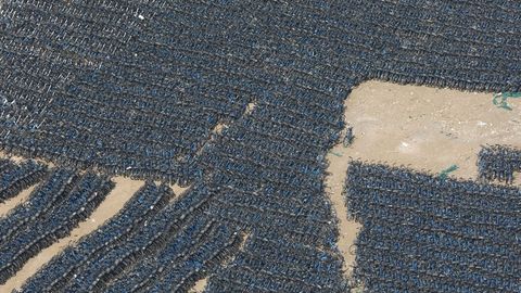 MIles de bicicletas estacionadas en un aparcamiento al aire libre en China
