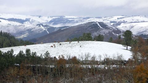 Vistas desde la carretera a Murias do Camio, en Navia de Suarna