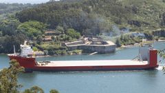 Cada paso entre castillos de la gigantesca estructura caus� gran expectaci�n a orillas de la r�a