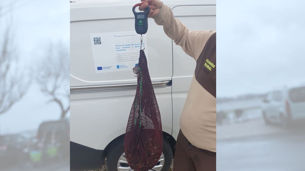 Decomisan 40 kilos de percebes, algunos ocultos en bolsas, en el inicio de la campaña en O Roncudo