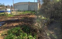 Las naves afectadas se encuentran en una zona cercana al r�o Tea. 