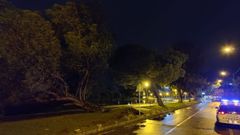 Imagen de archivo de la Polic�a Local de Poio en Lourido, en las proximidades del lugar donde se produjo el accidente
