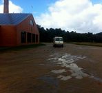 Costas no da su visto bueno al asfaltado del entorno del local. 