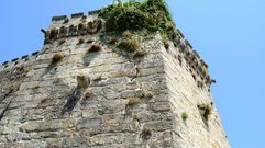 La falta de mantenimiento de la fortaleza de Monterreal de Baiona