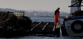 A los bateeiros solo les queda resignarse y cuidar a los mejillones sumergidos para evitar que se desprendan. 