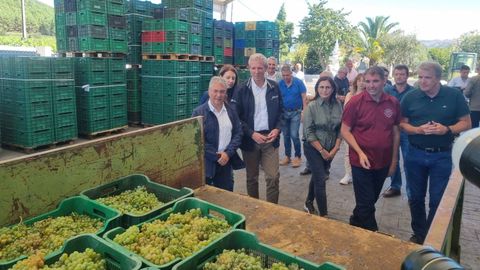 Visita de Alfonso Rueda a la denominacin de origen Monterrei.