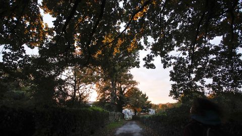 As� es el Cami�o Primitivo a su paso por el municipio de Lugo