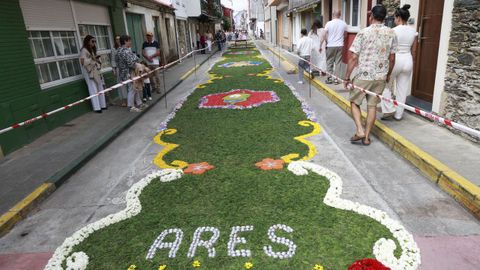 Alfombras flores de Ares