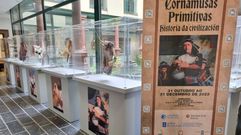 La exposici�n est� instalada en la Casa Grande de Viloira.