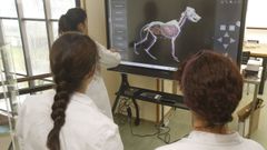 La investigaci�n est� presente en la Facultade de Veterinaria de Lugo, en donde tambi�n hay espacio para que los alumnos reciban una formaci�n con una clara presencia de las pr�cticas (en la imagen, el aula de habilidades cl�nicas)