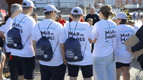 mares