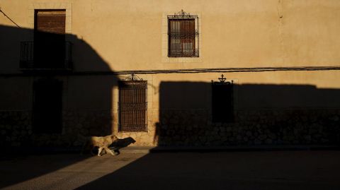 EL TOBOSO. 
Un perro vagabundea por las calles vac�as del pueblo del que era oriunda Dulcinea, la amada de don Quijote, El Toboso (Toledo), un t�pico ejemplo manchego de este declive rural que indaga Sergio del Molino -retratado en la fotograf�a inferior- en su ensayo �La Espa�a vac�a�. 