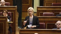 Rosa Dez, durante una intervencin parlamentaria en el 2015