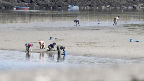 Mariscadoras faenando en la r�a de Pontedeume, en una imagen de archivo