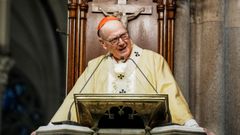 El arzobispo de Nueva York, Timothy Donald, en la misa de Accin de Gracias