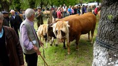 Centenares de personas acudieron a L�ncara en la 16 edici�n de la Feira da Tenreira Galega