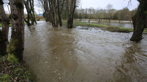 La crecida del r�o Cinsa dej� bajo el agua grandes zonas de terreno de Seoane y A Vide