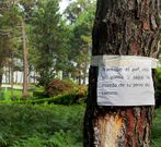 Los carteles ser�n arrancados por t�cnicos municipales. 