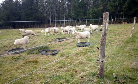 Tipo de cierre subvencionado por la Xunta