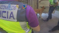 Incautados 25 kilos de coca�na en Mar�n ocultos en la puerta de un contenedor